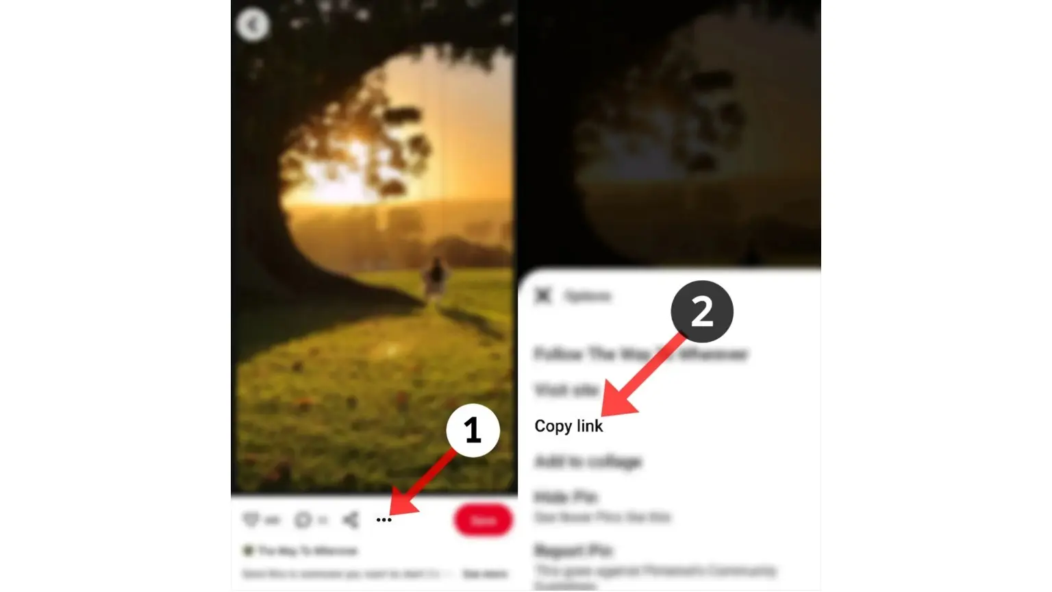 Pinterest Videos Download
