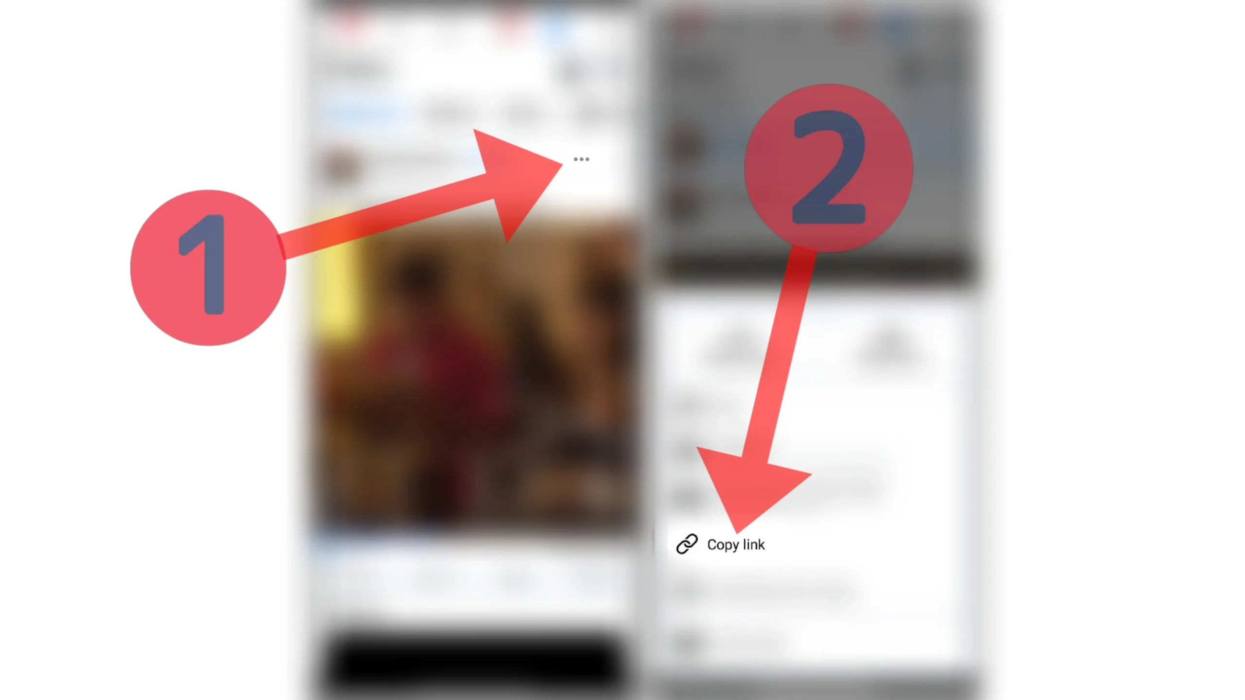 Facebook Video Downloader
